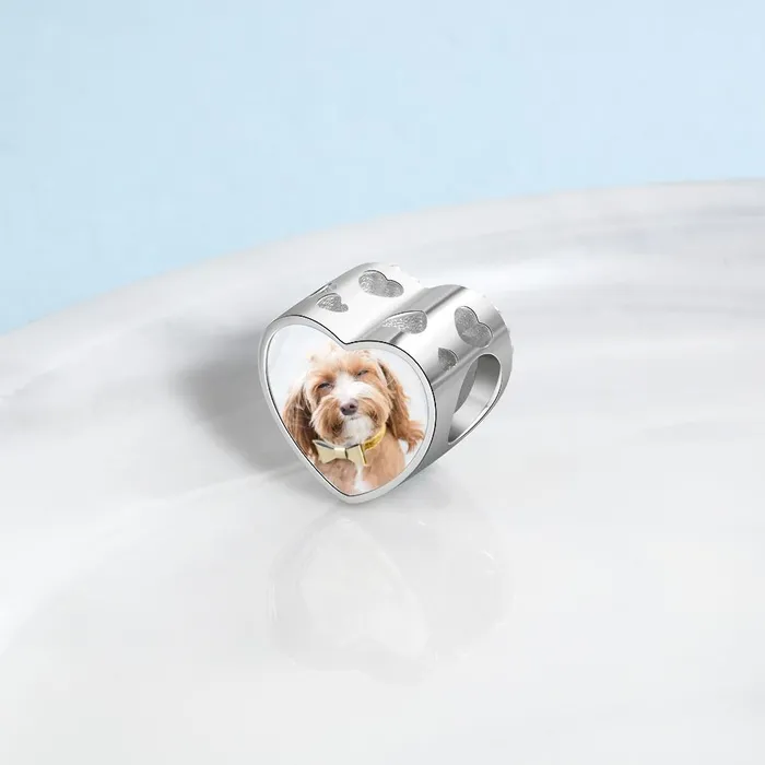 Bracelets Personalized Dog Charms Heart Beads with DIY Customized Photo Clear CZ Fit Bracelet Jewelry Personalized Jewel